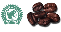 Sustainability Rainforest Logo with Coffee beans 