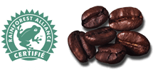 Logo Rainforest Alliance avec grains de café