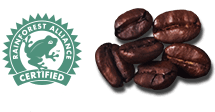 Sustainability Rainforest Logo with Coffee beans